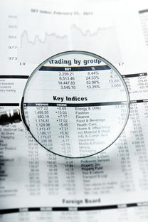 株洲同志供卵选性别：nt值偏高风险大吗下一步检查什么？